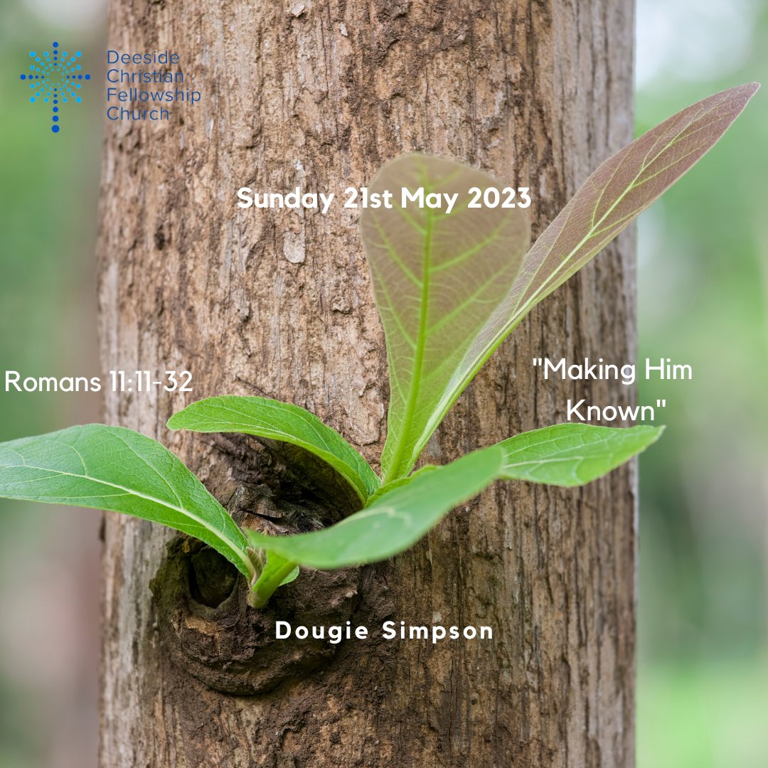 Deeside Christian Fellowship Church tweet media