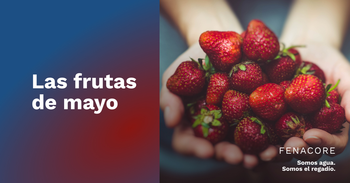 FENACORE tweet media