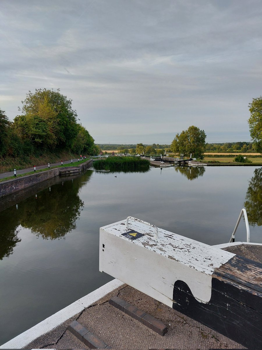 Touch the earth lightly tweet media