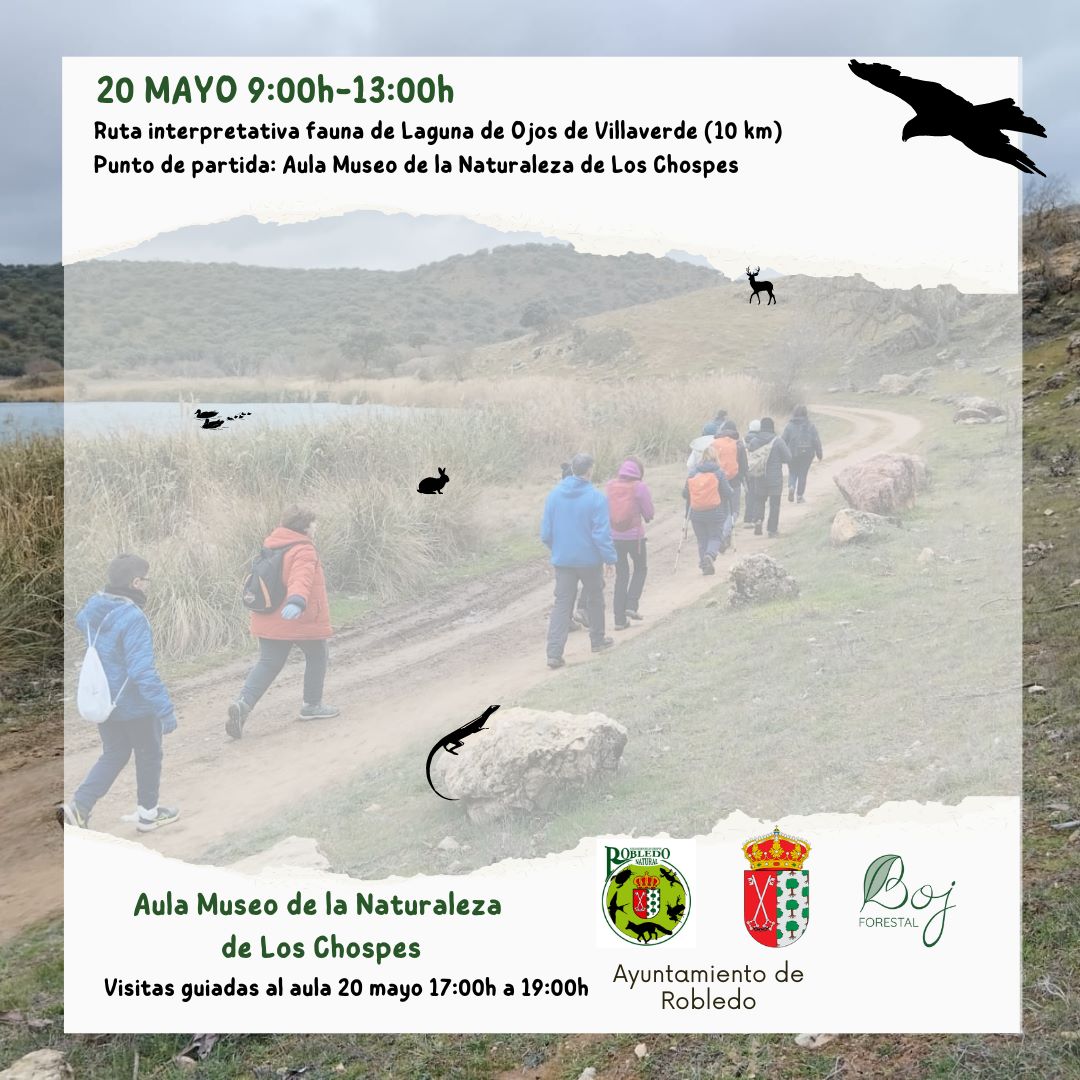 LCortijos's tweet photo. Ruta este #findesemana desde el aula de la naturaleza de Los Chospes. https://t.co/Yl25KJLkkS