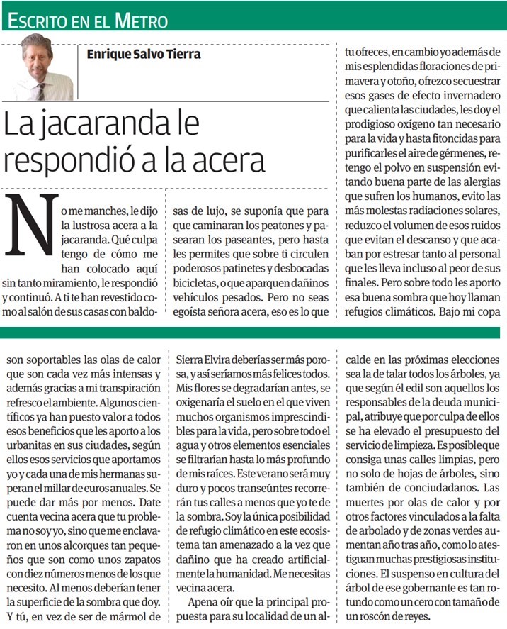 'La jacaranda le respondió a la acera' por <a href="/SalvoTierra/">Enrique Salvo Tierra</a>  en <a href="/andaluciainf/">Andalucía Información</a>  <a href="/viva_malaga/">Viva Málaga</a>  Dedicado a Tree Doctor Luis Alberto Diaz