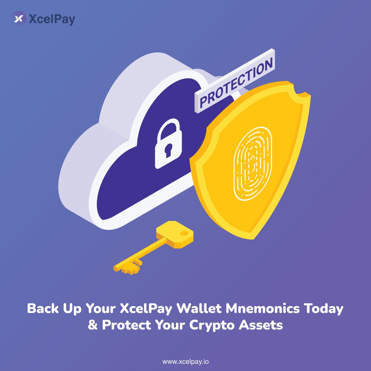 XcelPay Wallet tweet media