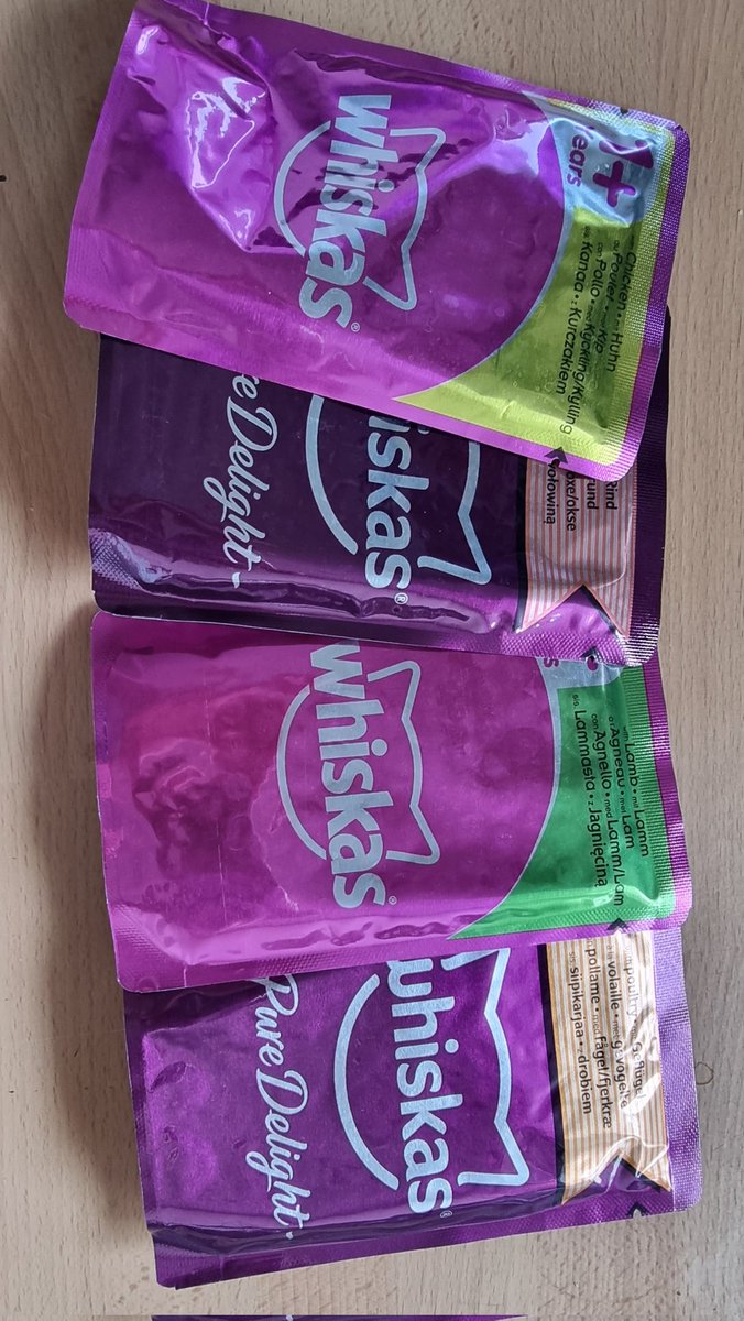 yellowrosedk's tweet photo. #whiskasbuzz #Fussycat #kattemad #whiskas #buzzador. Husk også at indlede alle dine indlæg med ”I samarbejde med Whiskas”.

Smaske Smaske.. tak for mad, siger Rosa 🌞🤤🤤🤤 https://t.co/BiQXnpaIfG