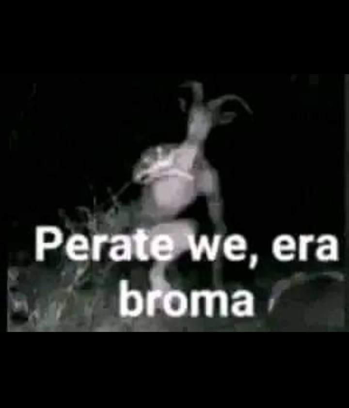Nenzu tweet media