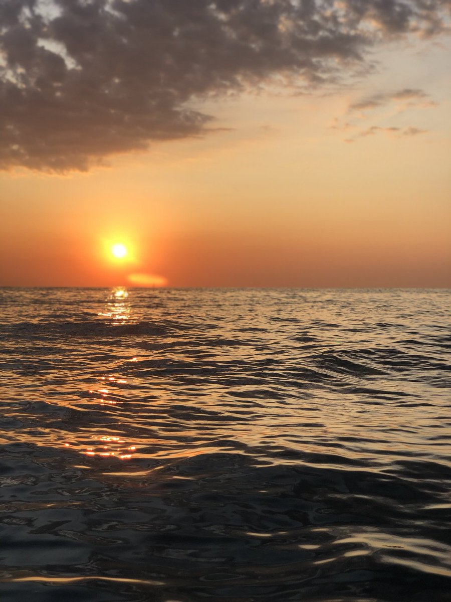ChloSerpe's tweet photo. Répondez avec des photos que vous avez prises et qui ne contiennent ni visages ni mots. Faisons un feed de calme.
(parce que j’adore les levers/couchers de soleil) https://t.co/5zuYO87MWW