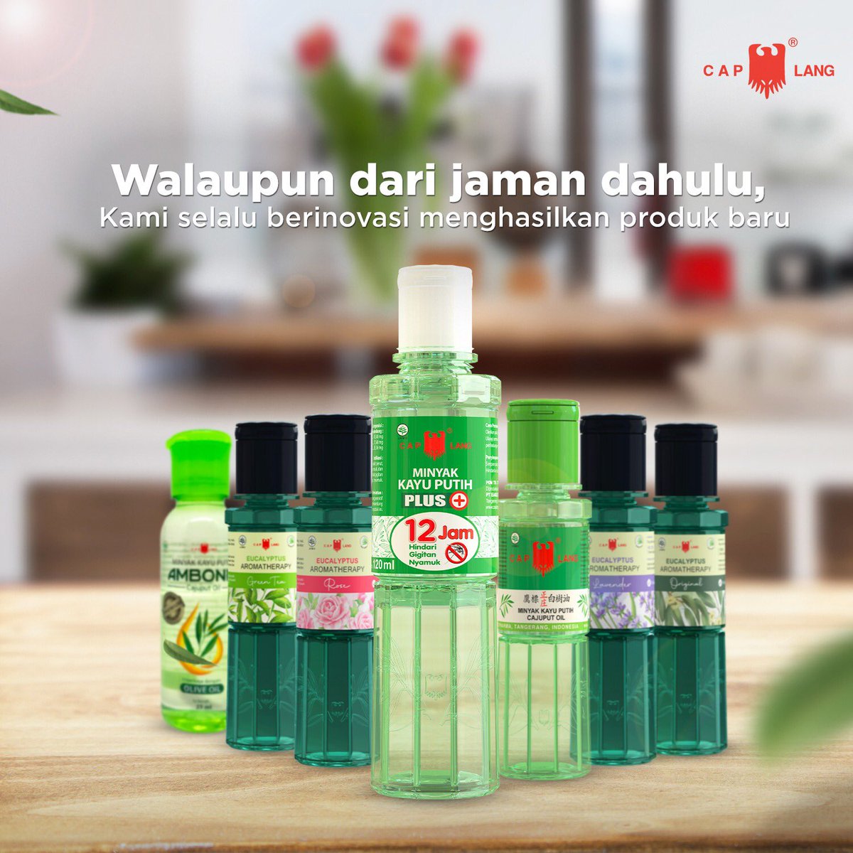 keluargacaplang's tweet photo. Cap Lang Kayu Putih Plus kini hadir untuk melindungi keluarga Indonesia dari gigitan nyamuk selama 12 jam!

#KebiasaanBaikBaiknyaDibiasain
#KeluargaCapLang
#CapLangKayuPutih
#CapLangKayuPutihPlus
#HangatnyaMelindungi https://t.co/CR1y7SoV6i