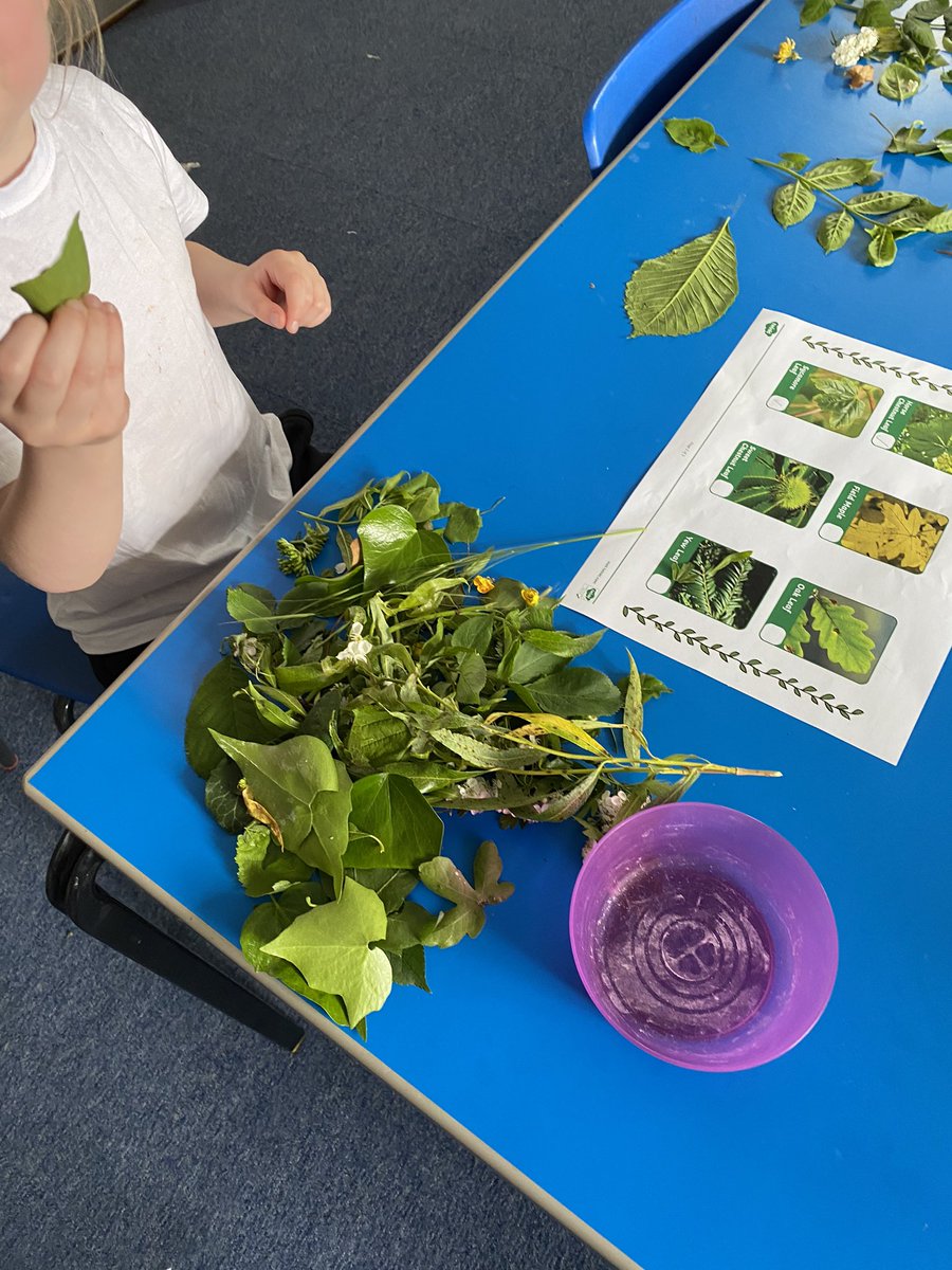 TurtlesClass's tweet image. 