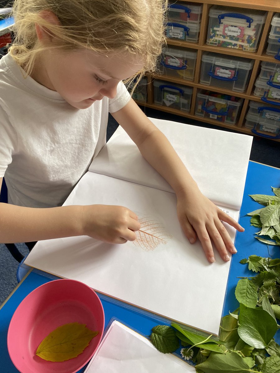 TurtlesClass's tweet image. 