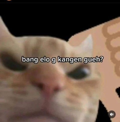 Kok dia engga pernah chat gw duluan yhh ???? 😞😞