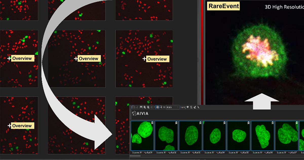 Discover our new workflow for life science that detects up to 90% of rare events and automatically eliminates storage of low-quality data. The #AI-powered software #Aivia on #STELLARIS drastically reduces time-to-result by 70%. Learn more!
👉 fcld.ly/rpr0t7s