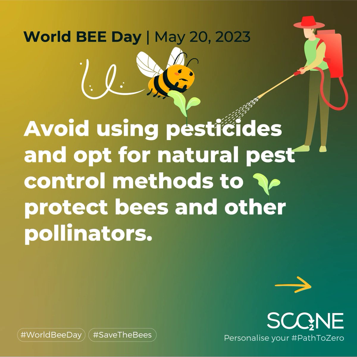 Scone_ai's tweet photo. 🐝 Tomorrow is World Bee Day!🌍🌺 Let's celebrate these incredible pollinators &amp; their vital role in our ecosystem. 🌱Check out this fascinating article to learn more about the importance of bees &amp; how we can protect them: https://t.co/U4SoHdjTLc #WorldBeeDay #SaveTheBees 🐝💚 https://t.co/7GMCf8hNEq