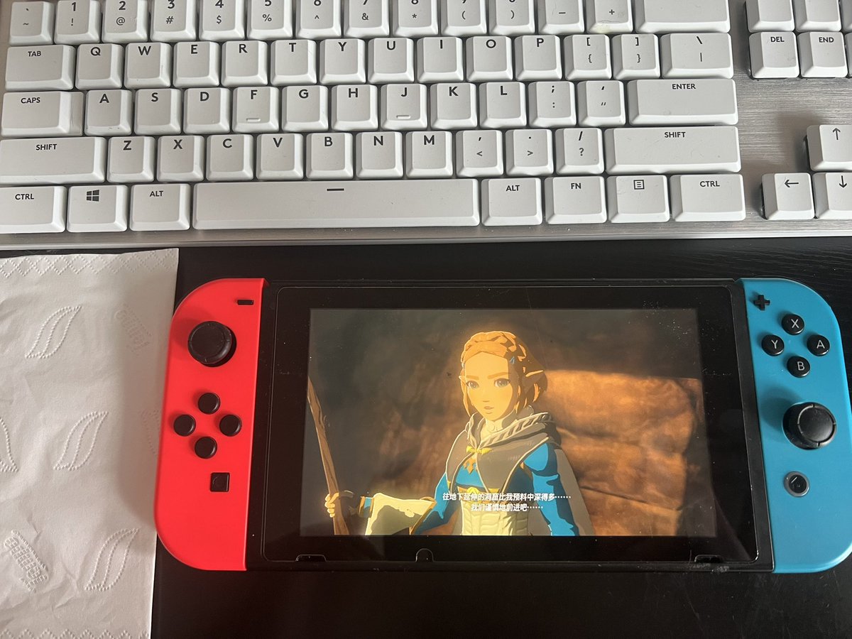 再见了健身教练，我要去拯救塞尔达公主