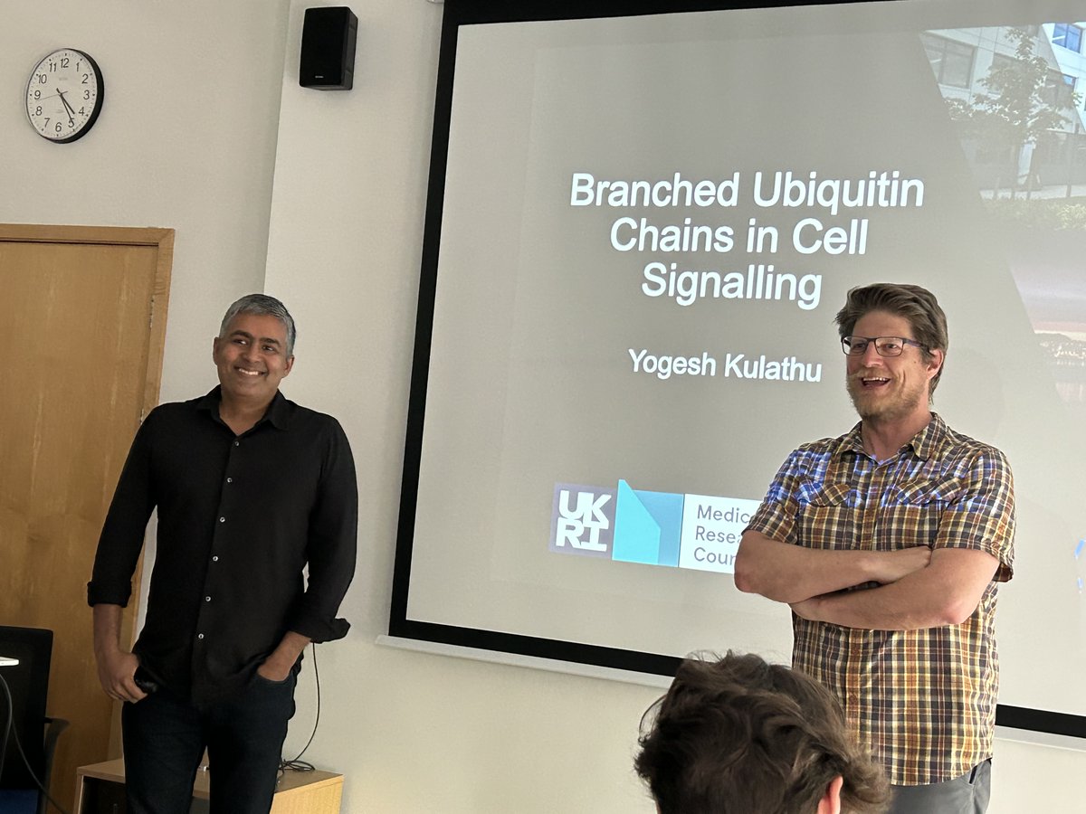 Yogesh @YKulathu gave a great talk on branched ubiquitin chains introduced by John @ERADLab at the Oxford Ubiquitin Club. It seems the p97 system is again the main player in the story 😊.