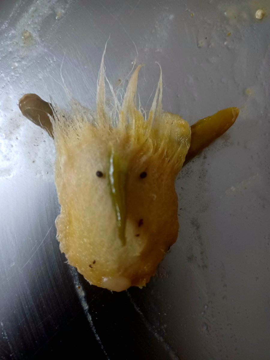 mankuli's tweet image. Mai aur meri tanhai 
Aksar ye baatein karte hain 
Ki Aam agar aadmi hota
Toh kya hota ...... 😋😋
#AambeUpkari #GSBCuisine