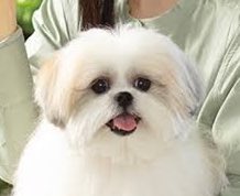 高2(06)

文系日本史選択
青学教育人間科学部志望です

♡orRTで回ります（◝ ⌄ ◜)
 #勉強垢さんとつながりたい  #勉強垢さんと一緒に頑張りたい  #勉強垢  #勉強垢さんと繋がりたい  #勉強