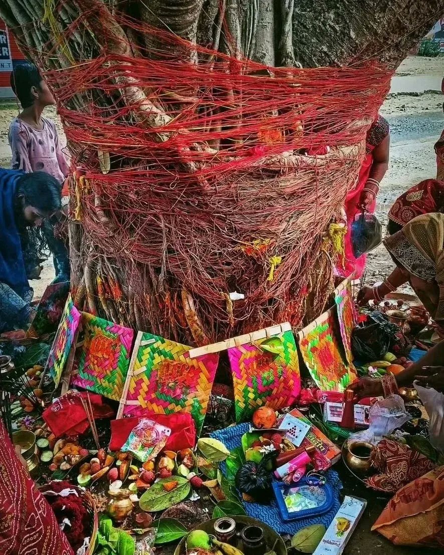 bihar_special's tweet photo. वट सावित्री व्रत की हार्दिक शुभकामनाएं। 🌼🙏
.
.
.
#bihar #biharspecial #bihari #biharsehai #patna #festivals #vatsavitripuja #vatsavitri https://t.co/Cvl8cItX8l