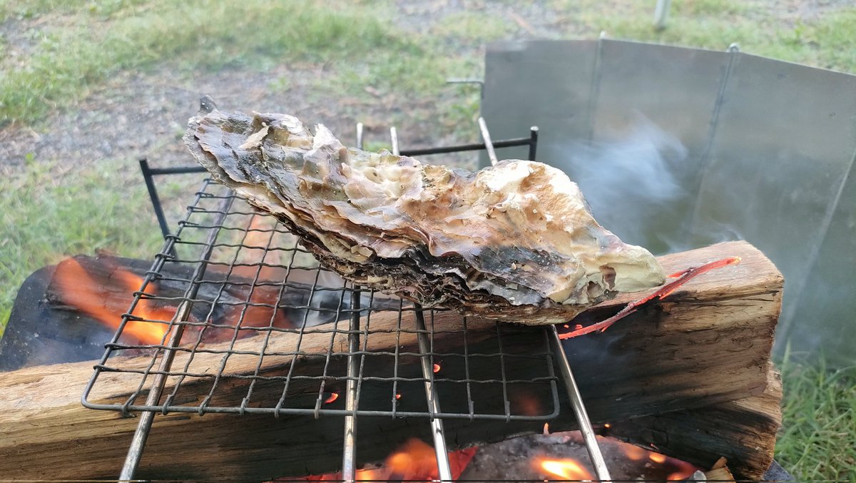 taicho773's tweet photo. 贅沢だわあー https://t.co/Wu1WMsm3W1
