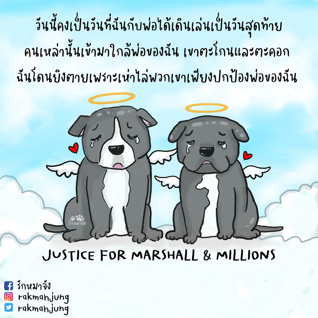 รักหมาจัง🐾 tweet media