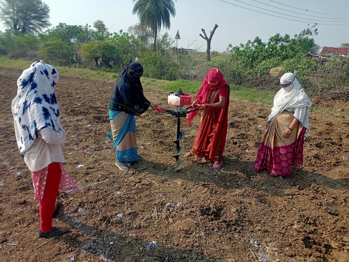 Pramel73's tweet photo. #GREENFoundation team is developing 20 #Miyawaki models under the #Chhidwara Compact as part of #RPLC partner. https://t.co/BT0B9d8BqD