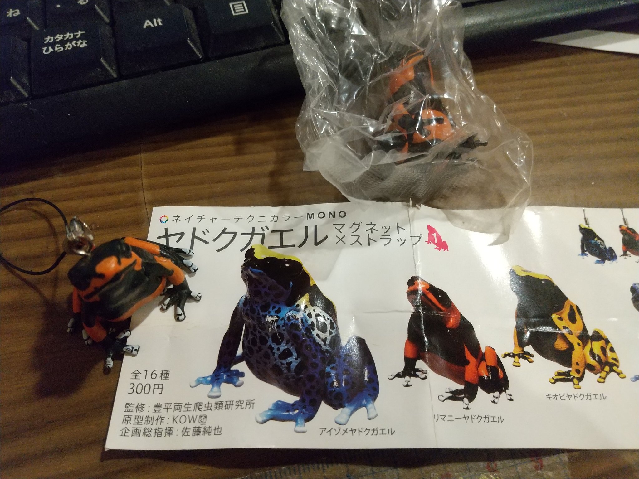 ネイチャーテクニカラー 危なく いきもん ヤドクガエル ネイチャーテクニカラー 危なく いきもん ヤドクガエル