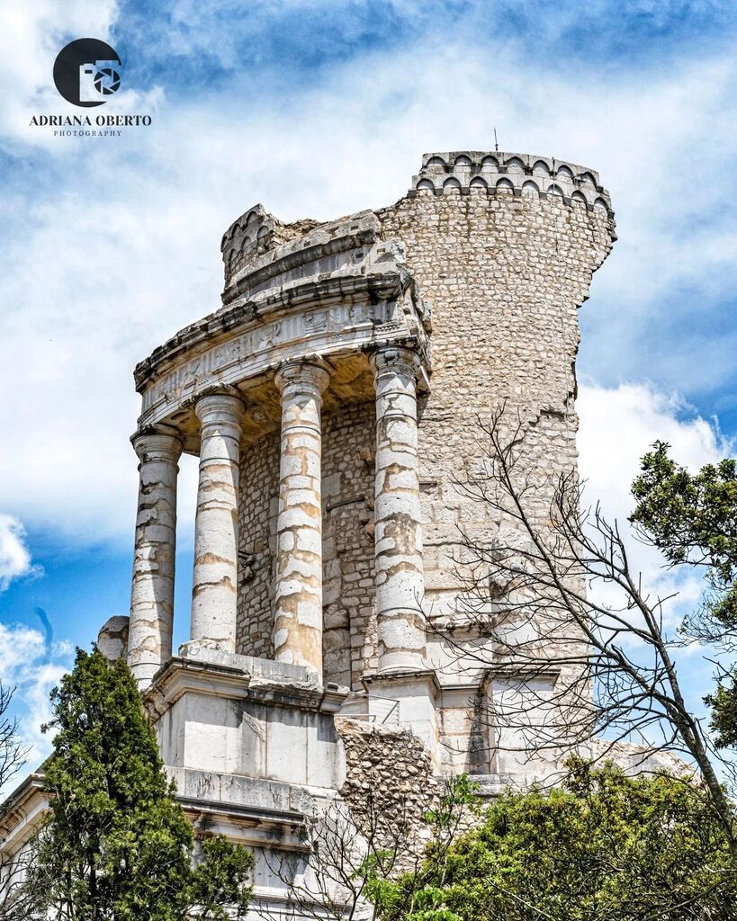 Adriana Oberto tweet media