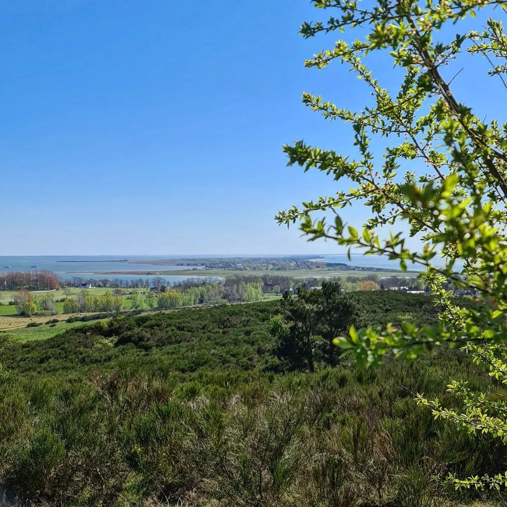 hiddenseeforum's tweet photo. Dieser Momente, wenn du nach langer Zeit hier wieder den Ausblick genießen kannst: Unbezahlbar.
#hiddensee #inselliebe #inselhiddensee #inselblick https://t.co/3FlkvHUg2g