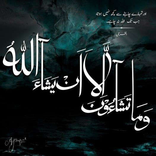 Rajpoot 🦅 tweet media