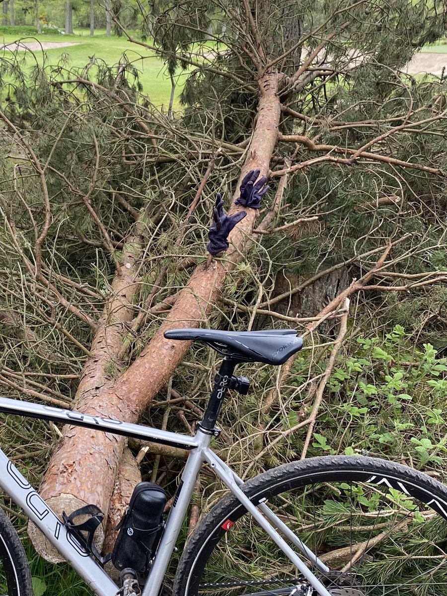 RosscoPossil's tweet photo. Purple Haze 🔮 Hand in Glove 🧤… Found some very nice purple leather gloves up in #Hazelhead widdies on the commute this morn. At top of golf course past the cremmy, left on tree! @ride_the_north @GCP_JustGoRide #LostandFound https://t.co/KPeZt6qBrk