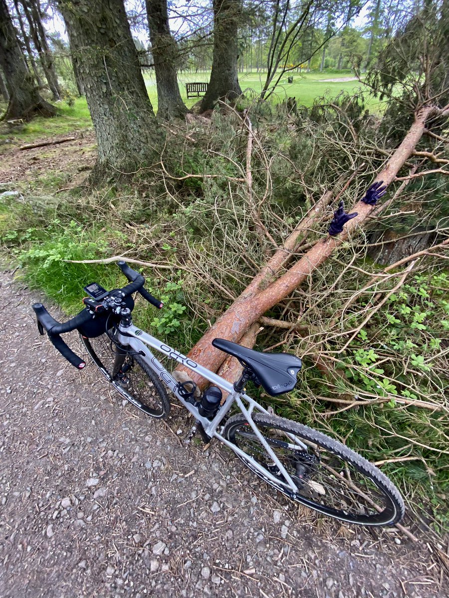 RosscoPossil's tweet photo. Purple Haze 🔮 Hand in Glove 🧤… Found some very nice purple leather gloves up in #Hazelhead widdies on the commute this morn. At top of golf course past the cremmy, left on tree! @ride_the_north @GCP_JustGoRide #LostandFound https://t.co/KPeZt6qBrk