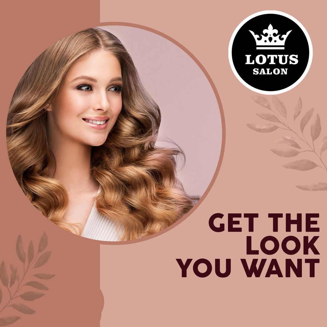 Lotus Franchise (lotusfranchise) / Twitter