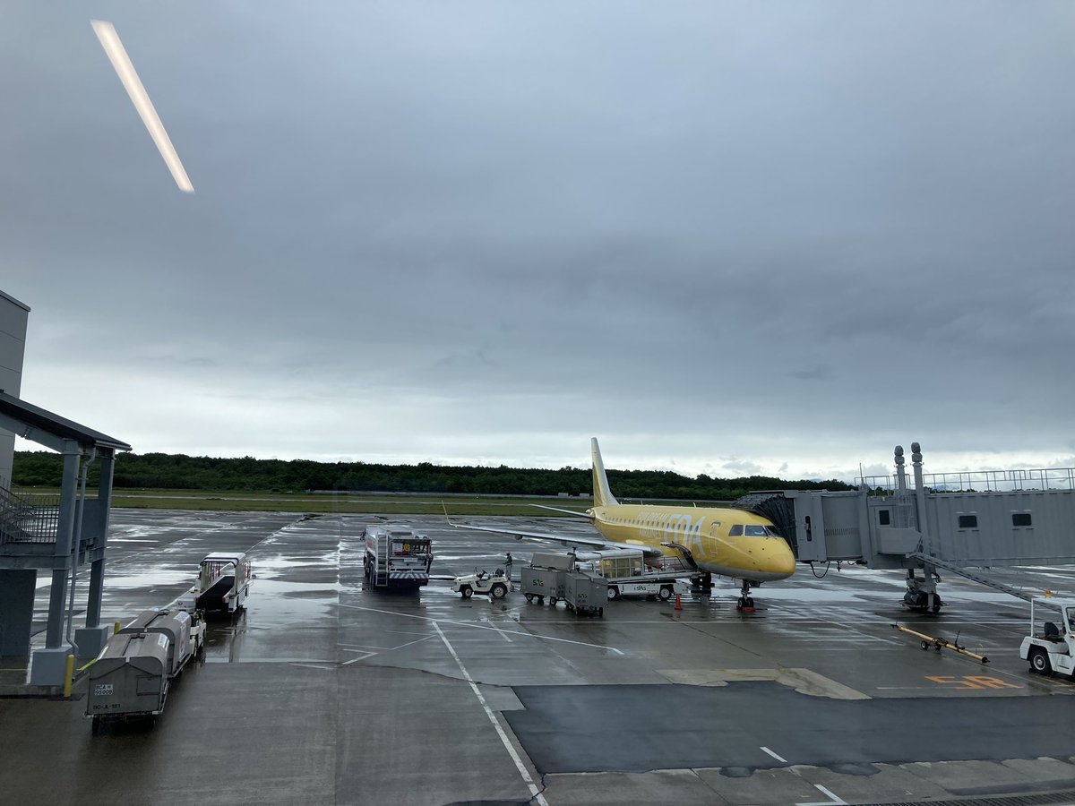 miho_energize's tweet photo. 久しぶりに飛行機に乗り✈️大興奮😁
今日は黄色のFDAでした👍
#fly_away #雲の上 #いいですねー #ありがとうございます #喜興奮 https://t.co/gCJq9lW8je