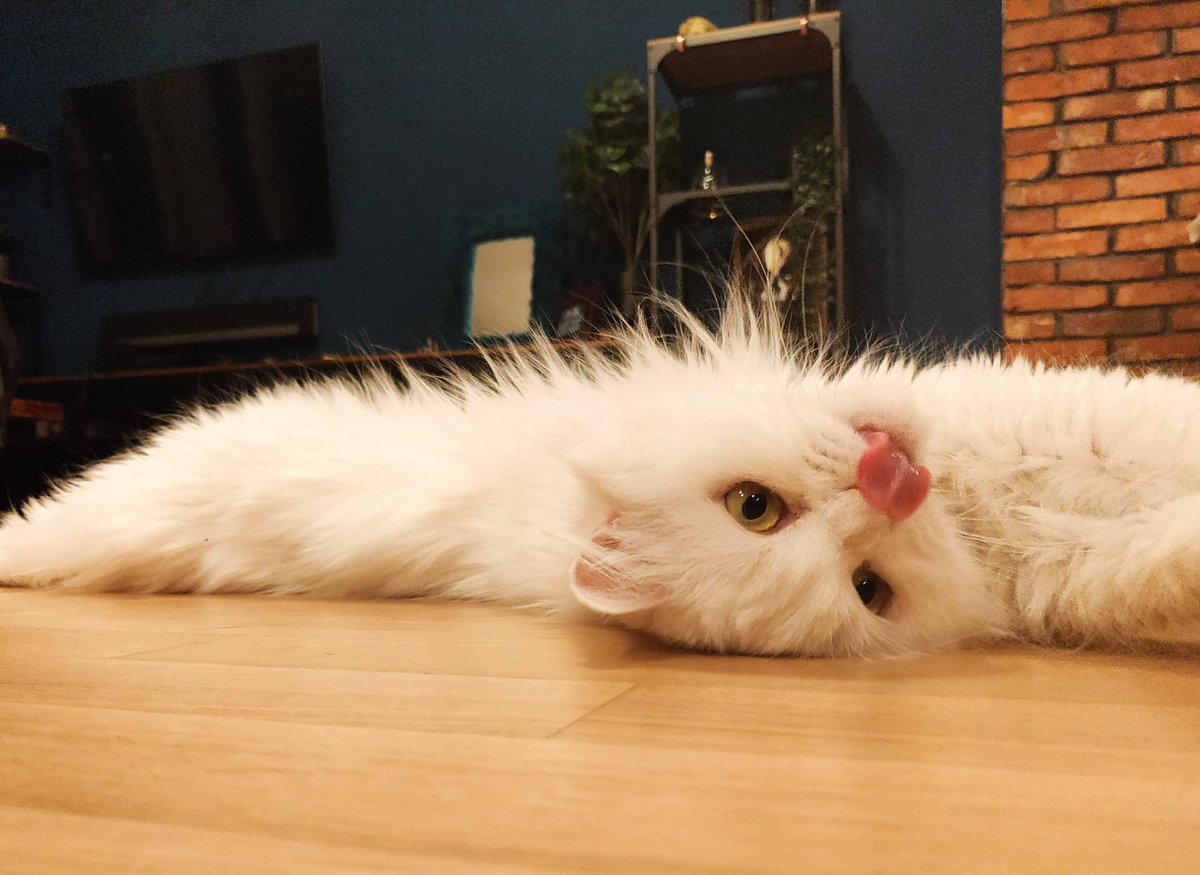 Taco Storm tweet media