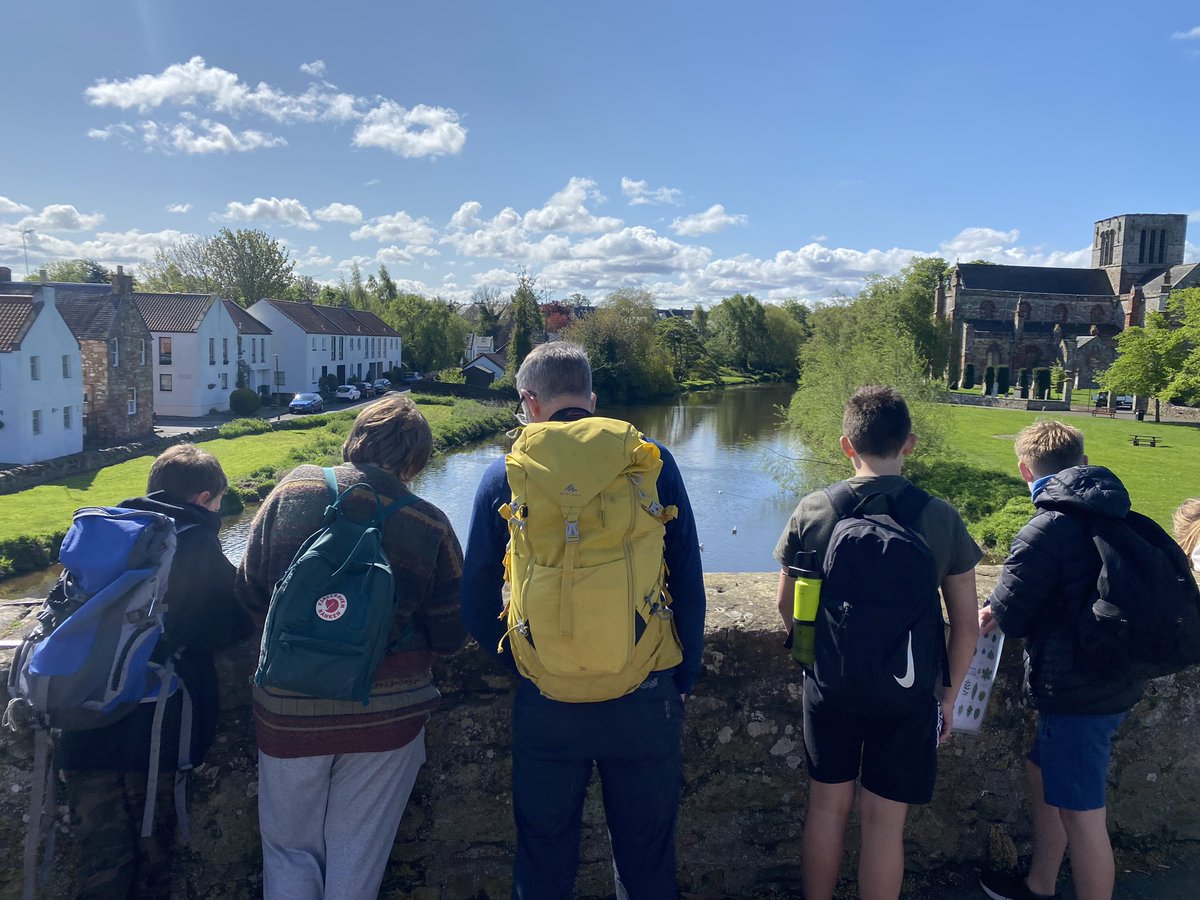 Some more pics from nature walks with S1 for <a href="/knoxacademy/">Knox Academy</a> Activities Week