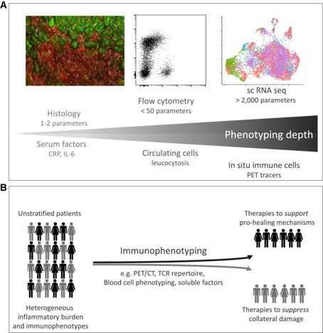 CTEC - Zurich University Heart Center (@ctecresearch) on Twitter photo Immunology has made it into the hearts of cardiologists! Check out this recent manifesto by cardio-immunology stars: academic.oup.com/eurheartj/adva… #PeterReiner #SusanneSattler <a href="/ImmunobiologySG/">ImmunobiologySG</a> @ImmunoCardioLab <a href="/ehj_ed/">EHJ Editor-in-Chief</a> <a href="/CardioZurich/">Cardiology USZ</a> #EHJ Immunology has made it into the hearts of cardiologists! Check out this recent manifesto by cardio-immunology stars: academic.oup.com/eurheartj/adva… #PeterReiner #SusanneSattler <a href="/ImmunobiologySG/">ImmunobiologySG</a> @ImmunoCardioLab <a href="/ehj_ed/">EHJ Editor-in-Chief</a> <a href="/CardioZurich/">Cardiology USZ</a> #EHJ