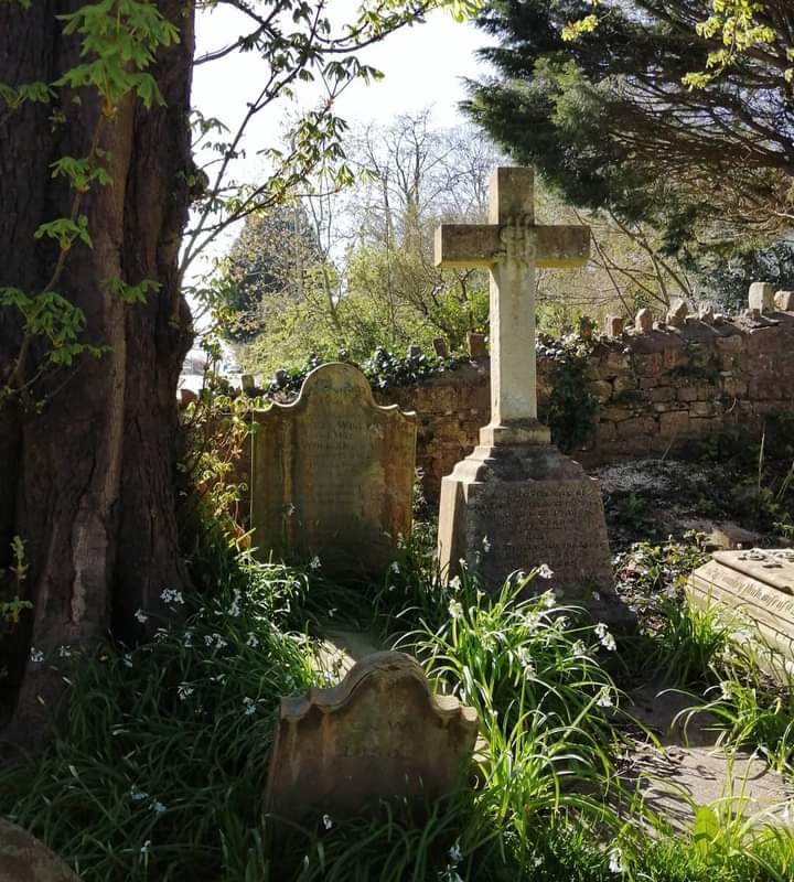 #MentalHealthAwarenessWeek 🧠

#ToHelpMyAnxiety I tend to retreat to nature and church yards 🪦

When I was really unwell, my local churchyard became my safe space and my visits there have helped me through some difficult times ⛪

#cptsd