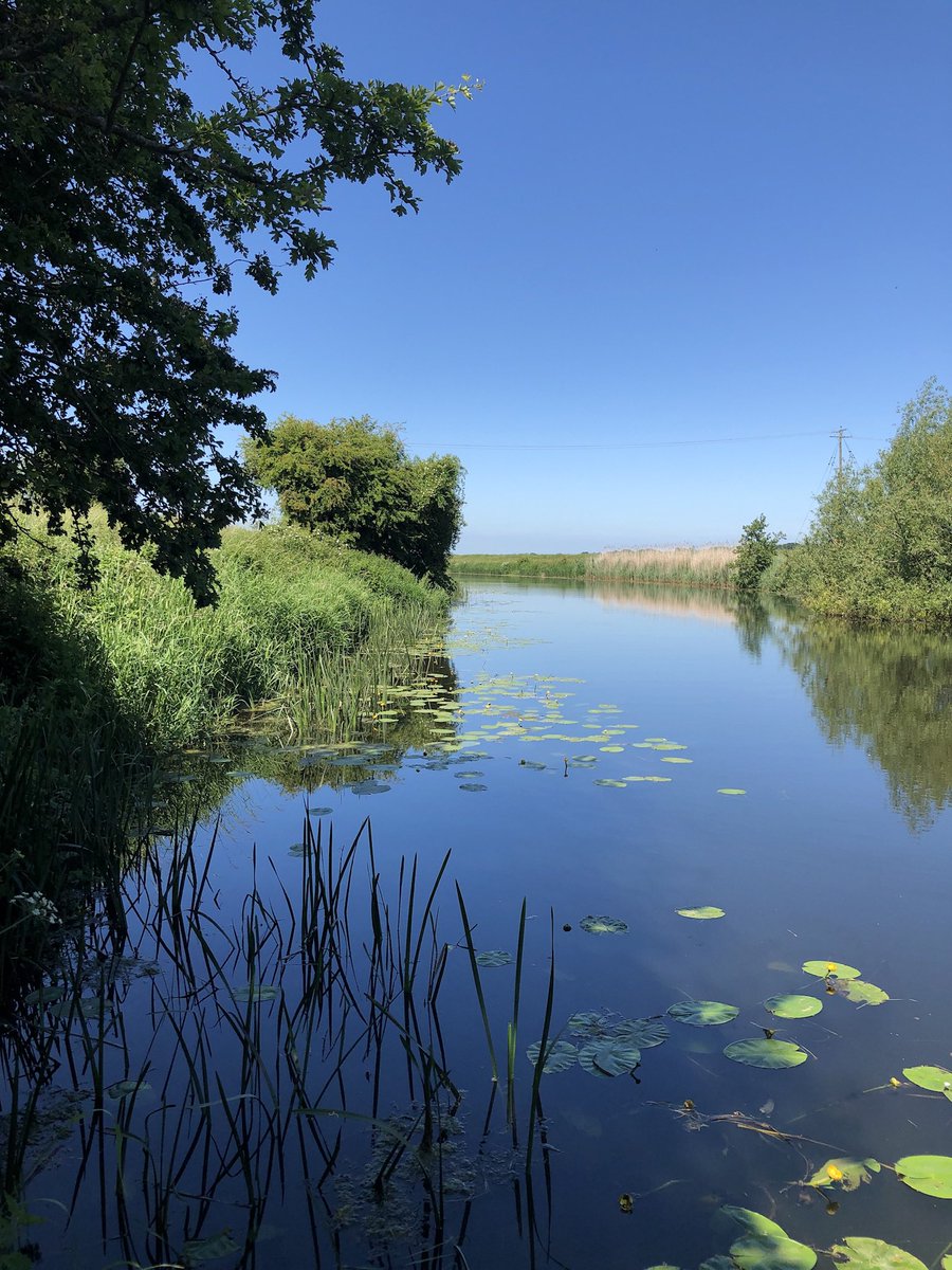 CathHumphrys's tweet photo. @BenAllenGP @CraigNikolic Show me a picture taken by you that you love. Here a glorious day swimming and canoeing #MilitaryCanal #Oxney https://t.co/xPjh6GK4ej