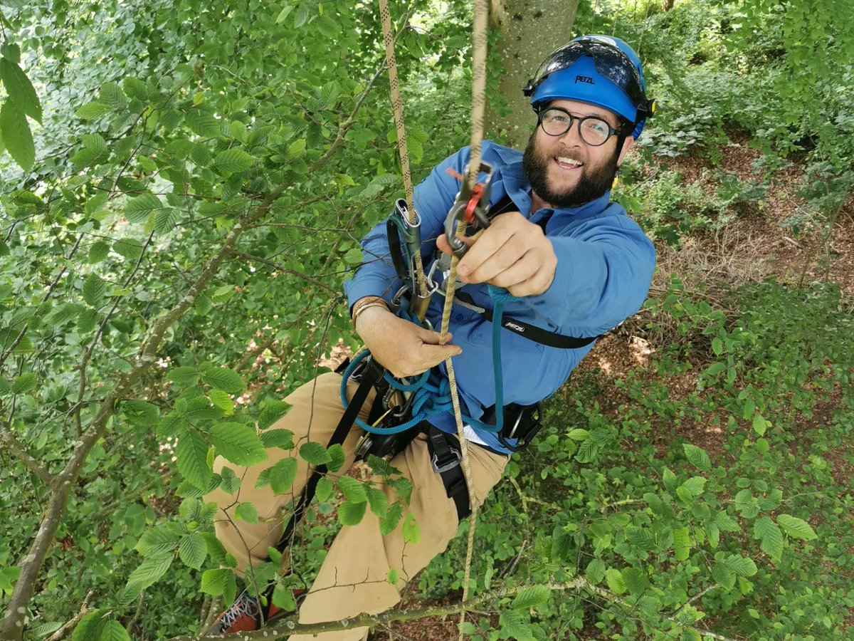 jraldred's tweet photo. Day 5 of our #CanopyAccess #treeclimbing course here at #AshtonCourt, #Bristol.

Today's challenge: rigging tensioned rope traverses through the canopy of an #ancientwoodland.

Having fun whilst learning high up in the trees, what's not to love?!  😁💪🌳

#themanwhoclimbstrees https://t.co/HEnRyIHfeL