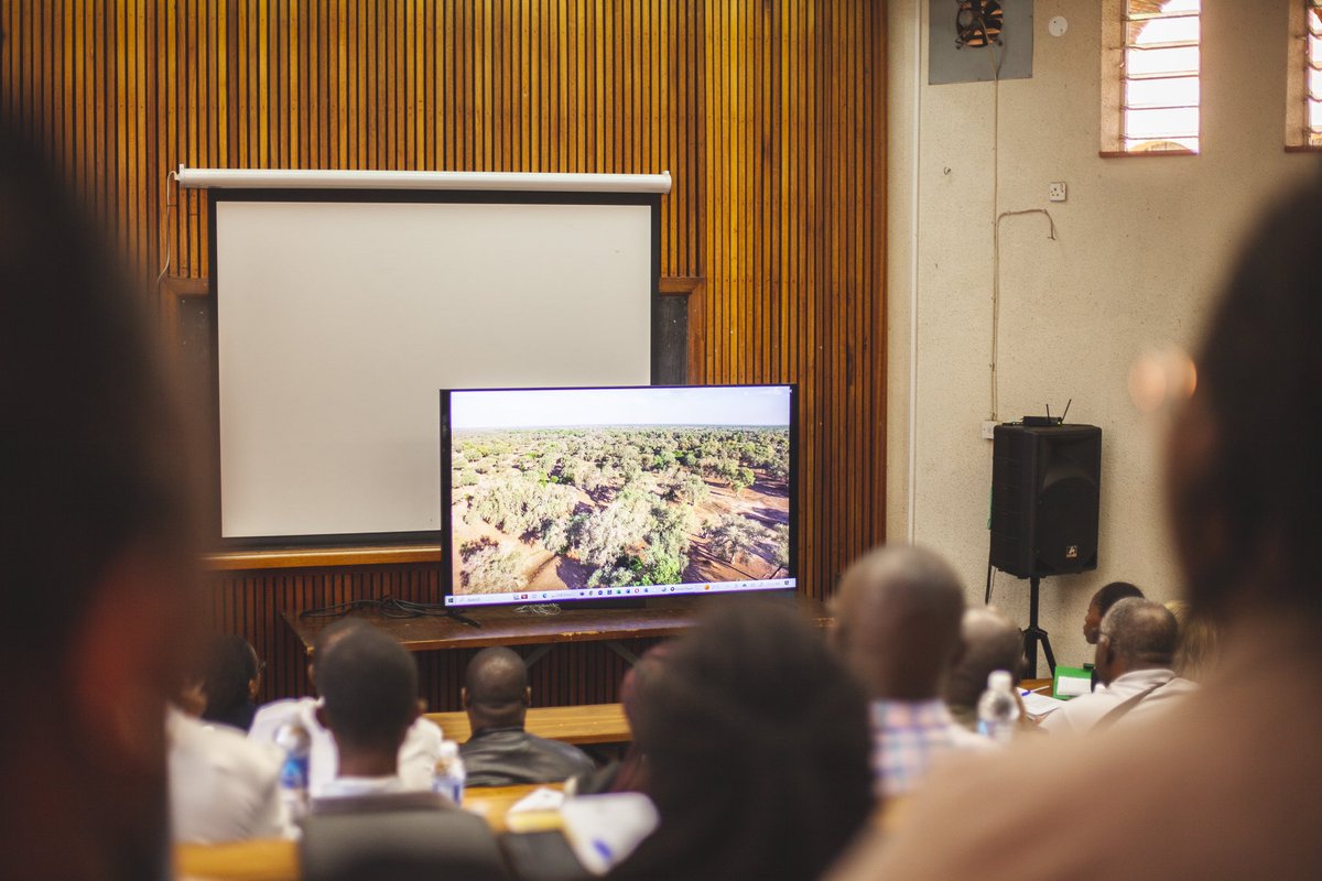 UNDPZimbabwe's tweet photo. Exciting conversations about the future of biodiversity and nature in Zimbabwe are taking place at @Zimparks head office in Harare. Diverse stakeholders in the conservation field are coming together to discuss and shape the way forward. https://t.co/xXhuLhbwkt