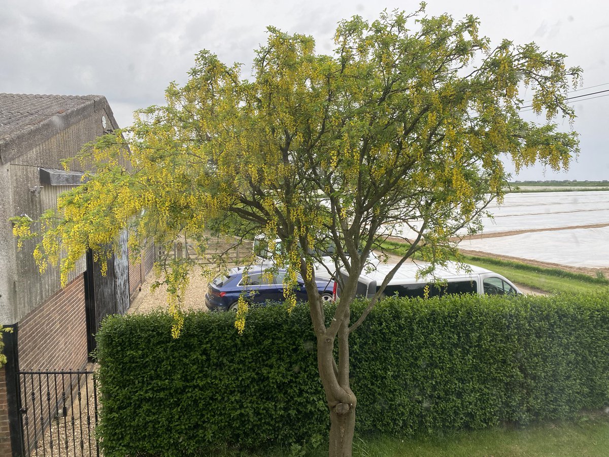 cazwhiley's tweet image. When you get up to find that @THClements1966 have decided it’s ok to use our drive to park their vans on! FFS…as if litter, urinating in our hedge and in the fields isn’t enough, let alone no consideration for our road. #farmers #inexcusable #neverendingproblems #inconsiderate