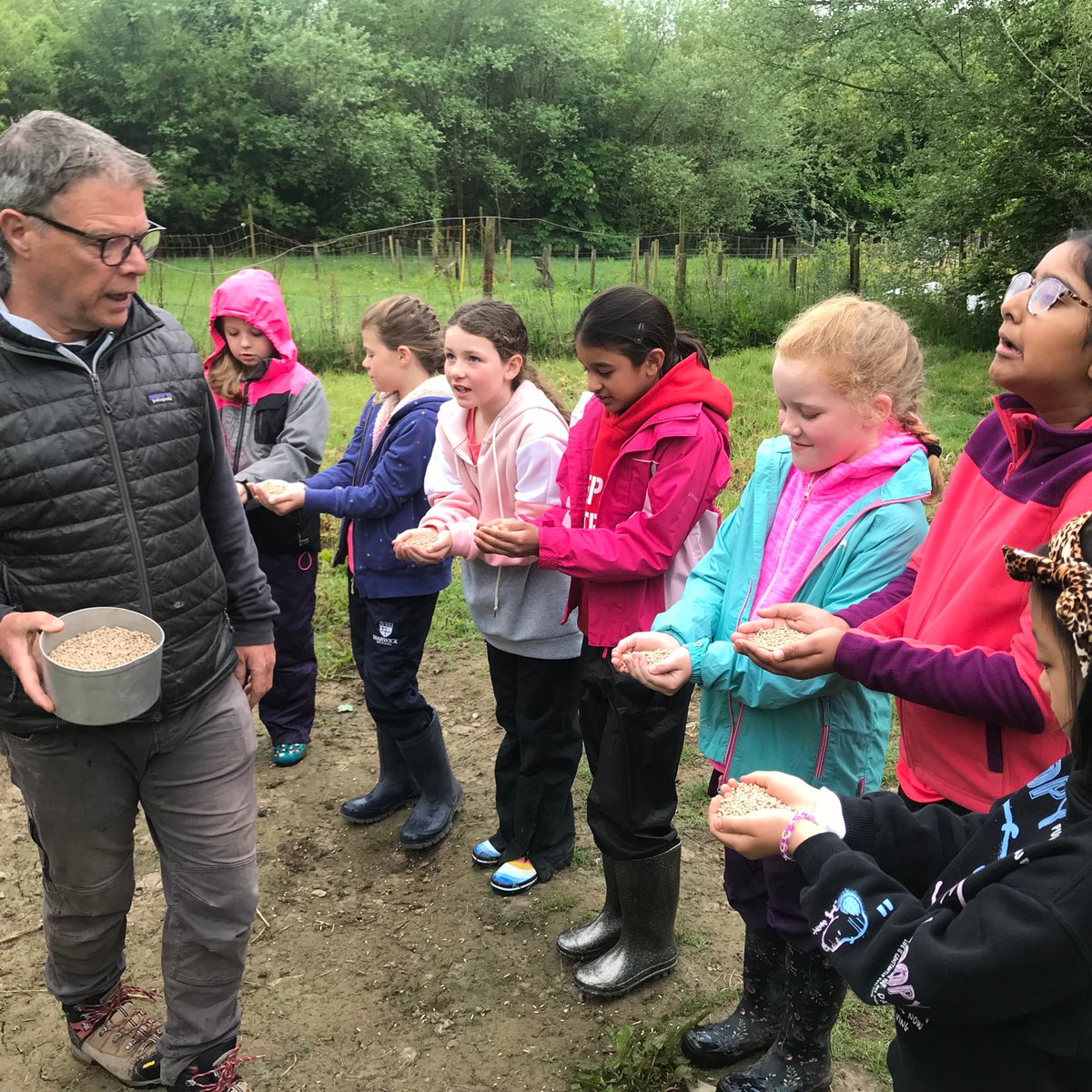 WPS_Trips's tweet photo. Y4 Naturesbase Group 2 

Today it was the Badgers turn to feed the chickens. https://t.co/MzZ9WGOWsT