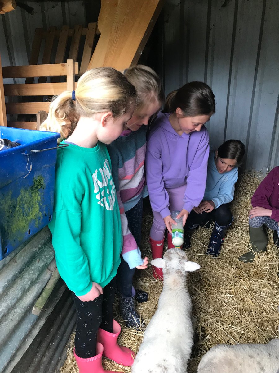 WPS_Trips's tweet photo. Y4 Naturesbase Group 2

This morning the Moles have loved feeding the lambs. https://t.co/oOVkuHCZv8