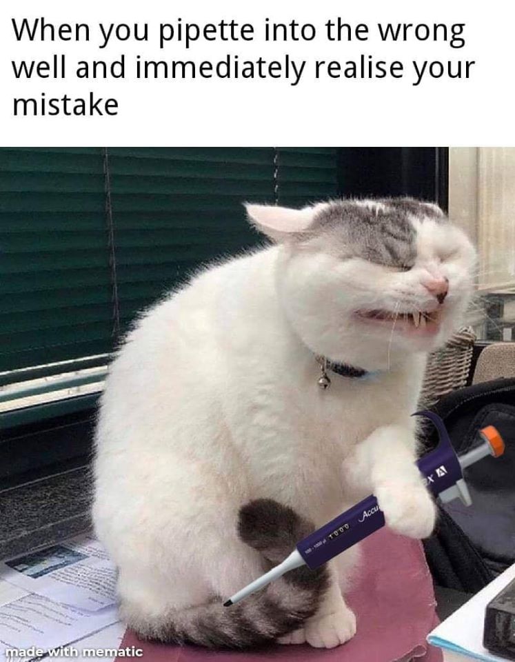 biograd_ed's tweet image. #sciencememes #funnyscience #laboratorytraining #cellculture #futurescientists #sciencefun #labskills #laboratoryskills #labtraining #laboratorylife