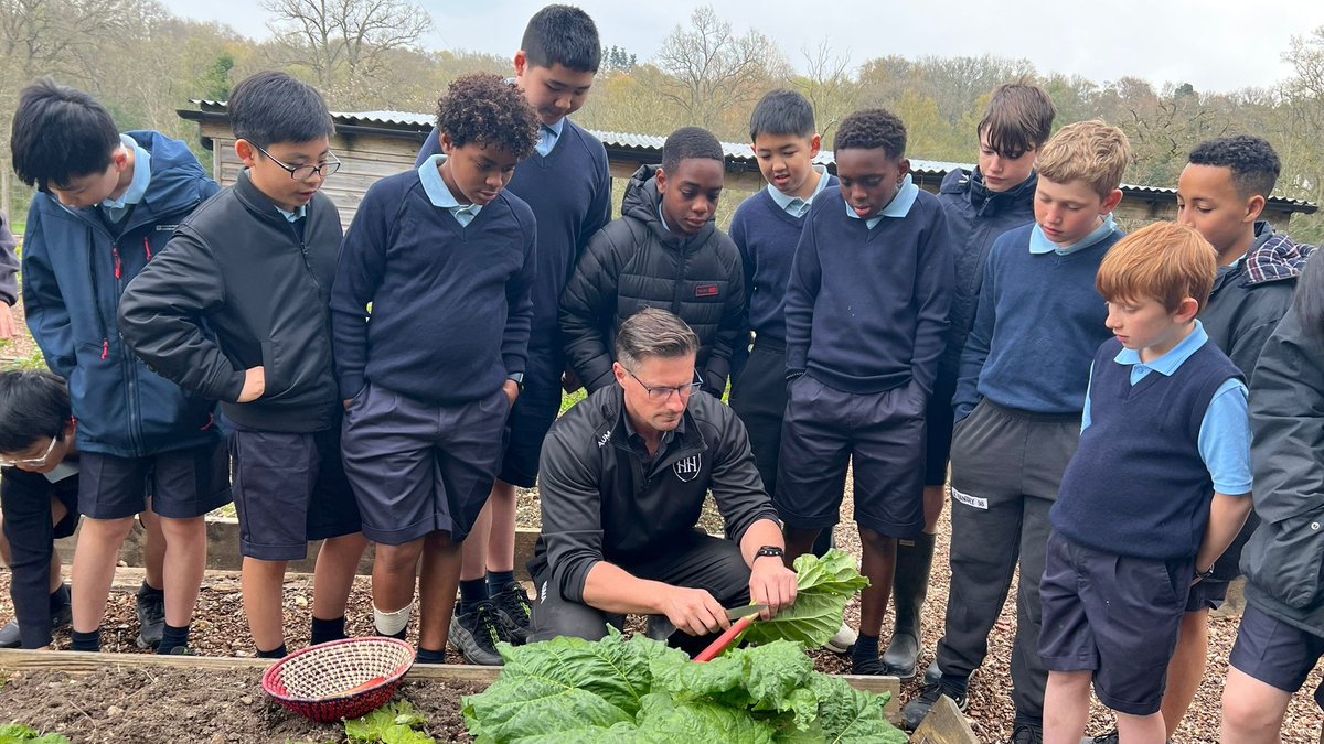 HorrisHill's tweet photo. This term, #HorrisHill has adopted the #UN #SustainableDevelopmentGoal life on land, to increase children's awareness of ecosystems, sustainability, land degradation and biodiversity loss.
#HHFamily #PrepSchoolLife #BoardingSchoolLife #Hampshire #Berkshire #GlobalGoals #UNForests https://t.co/UPO4FcR27d