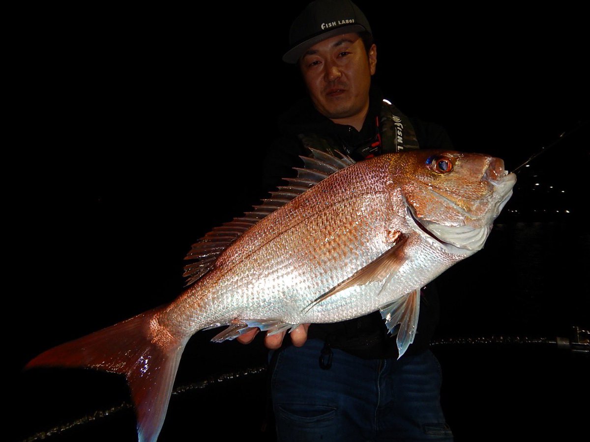 FISHLABO_STAFF's tweet photo. 秋田県フィールドスタッフ嵯峨さんより、ボートアジング釣果!
大漁!
#ロイヤルライト 50UL に #Riverch 各サイズを使い分けて連発だそうです(*^^*)
嬉しいゲストにマダイ!こちらも50ULで釣り上げ!?
さすがにギリギリですが、上手くやり取りすれば捕れるということでした★ https://t.co/eECdk6rjAr