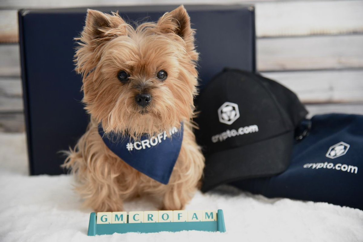 GM #CROFam🐶 📸: @Csilla_cro