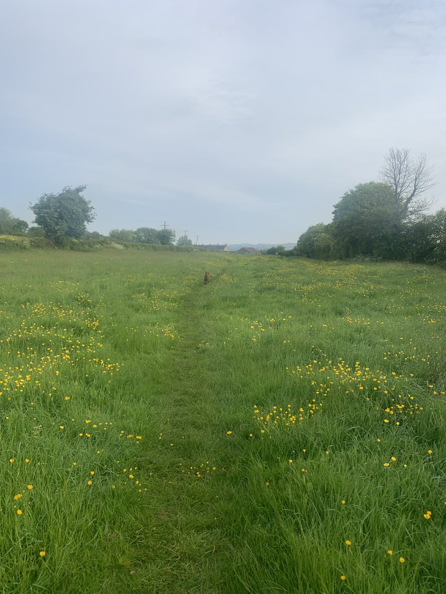 #MentalHealthAwarenessWeek is an important opportunity to reflect on how our mental health impacts us and those around us. Some people have far harder roads to journey down than others. There is always hope and tomorrow the sun will come up again 🌅🙏🌞❤️