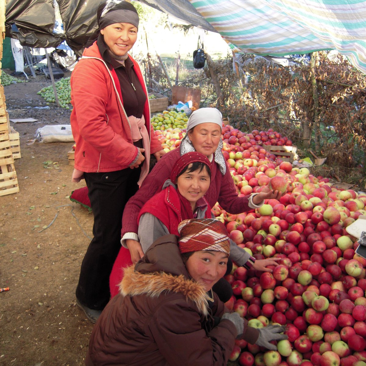 desenaliev's tweet photo. My research on welfare effects of export participation by household farms in Kyrgyzstan has found a home at @JDevStudies and is openly accessible here https://t.co/H4feuDvpaV thanks to @igz_leibniz. I use @LiK_Study household-level panel data for 2010-13. 1/4 https://t.co/fZ69ve1ZAY