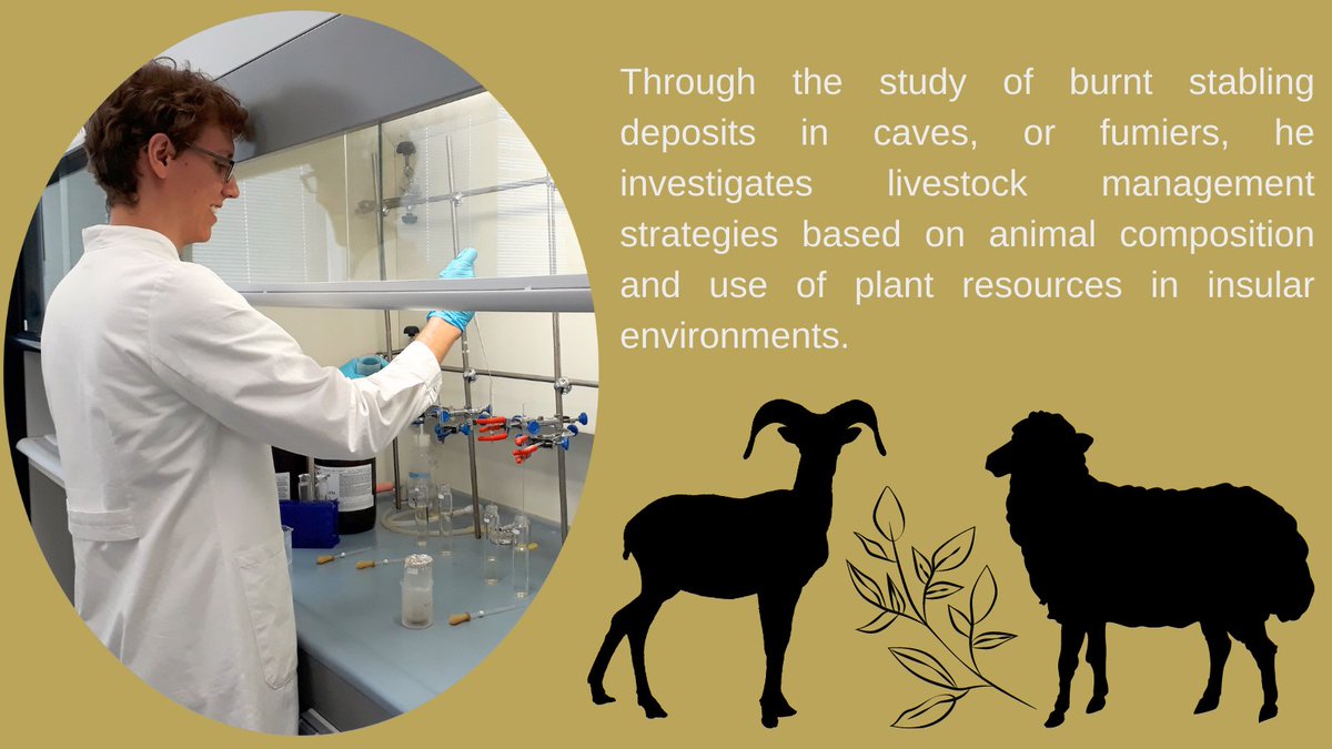 He investigates #livestock management strategies based on animal composition and the use of plant resources in insular environments 🔬🐑