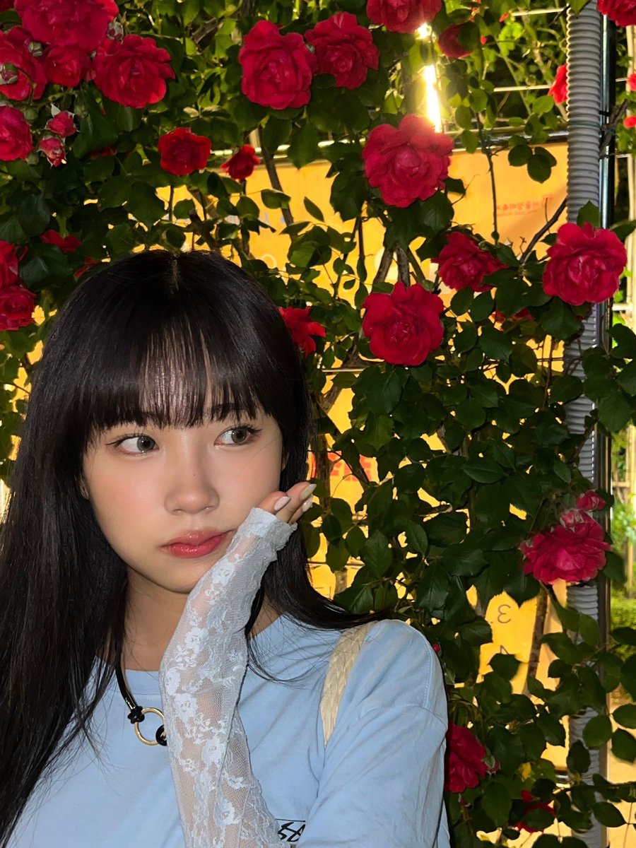 RBW_PURPLEKISS's tweet photo. [#도시]
#OODS 밤에 보는 꽃이 더 예뻐🌝✨🌹 https://t.co/TmJgB3NDJU