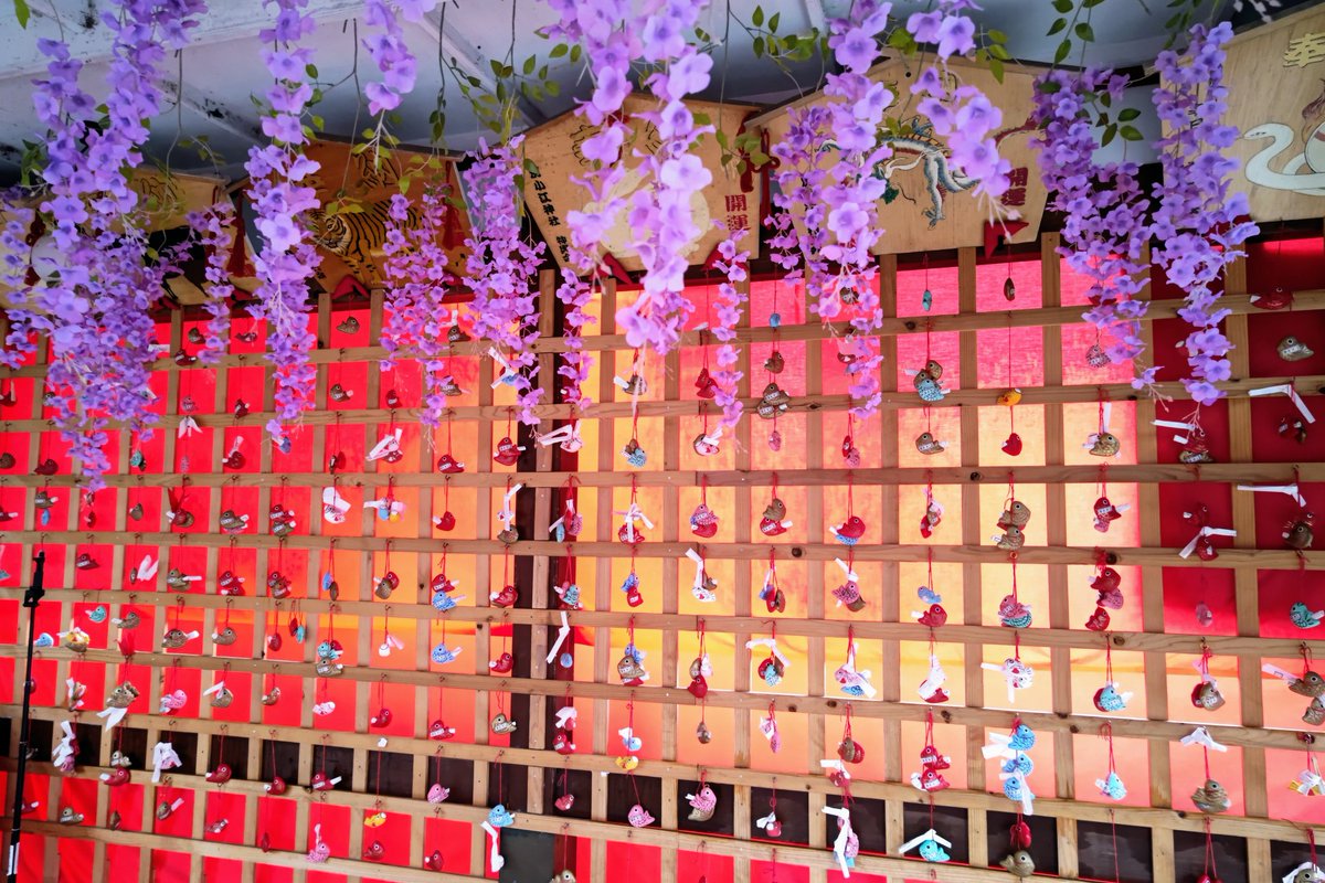 名古屋御朱印巡り、🌧️色々、日程を
変更しています。急遽　別小江さんへ
あいにくの雨ですがまあまあの写真に。
#御朱印巡り　#名古屋　#可愛い
#別小江神社